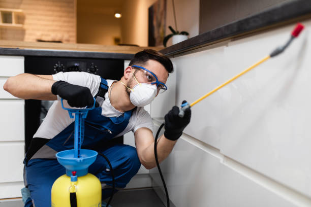 Best Mosquito Control Services  in South Glens Falls, NY