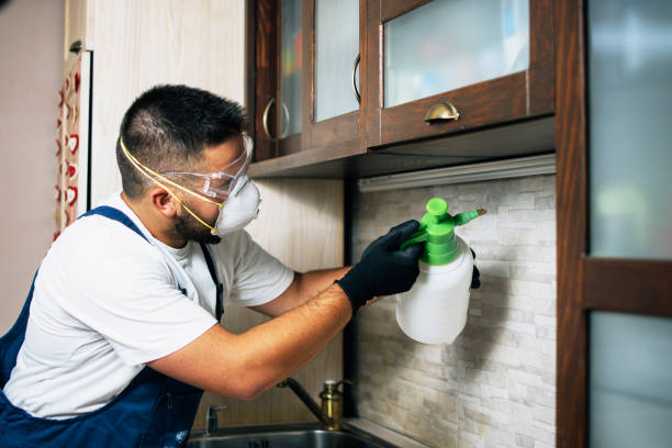 Best Flea Control Services  in South Glens Falls, NY