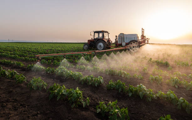 Best Commercial Pest Control Services  in South Glens Falls, NY