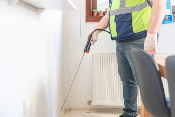 Best Best Pest Control Companies  in South Glens Falls, NY