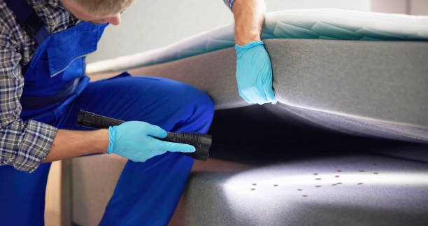 Reliable South Glens Falls, NY Pest Control Solutions
