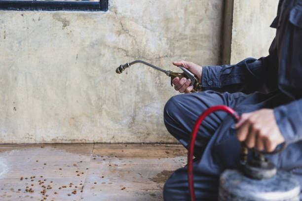 Best Pest Removal Services  in South Glens Falls, NY